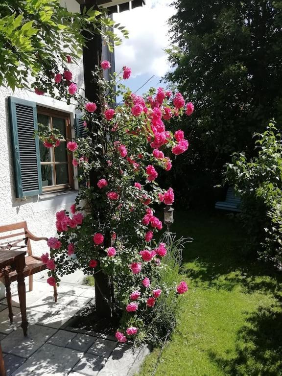 'Sissi' Ein Zaubehaftes Apartement Im Modernen Landhausstil Oberammergau Ngoại thất bức ảnh